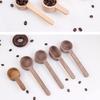 Wooden Coffee Measuring Spoon 8g/10g - Black Walnut & Beech, Long/Short Handle
