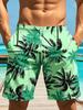 Men's Hawaiian Swim Trunks 3D Gradient Palm Tree Print Beach Shorts