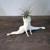 Funny Private Room Ghost Flowerpot Succulent Flowerpot Air Plant Display Indoor Flowerpot Decoration Flowerpot Funny Prank Gift