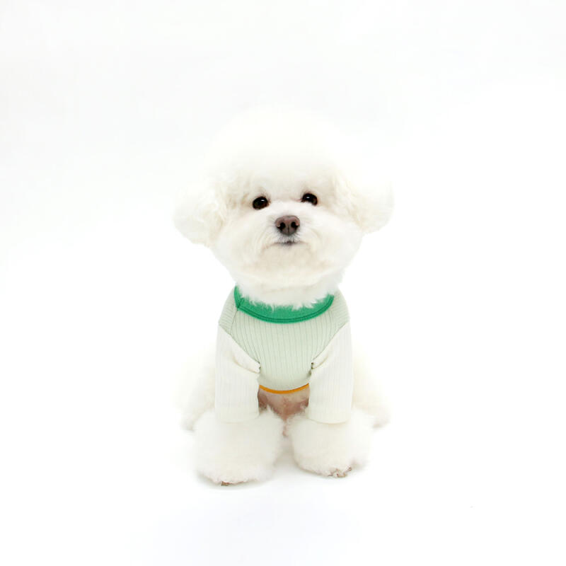 COTTON CANDY TSHIRT-GREEN(Short Sleeve T-Shirt) M