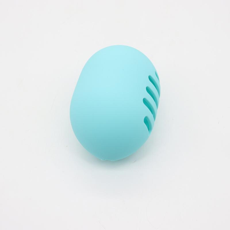 Silicone Makeup Sponge Storage Case
