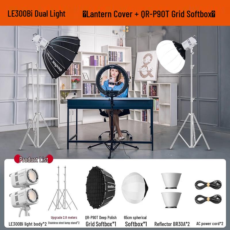 Godox LE300Bi Bi-Color LED Video Light Kit