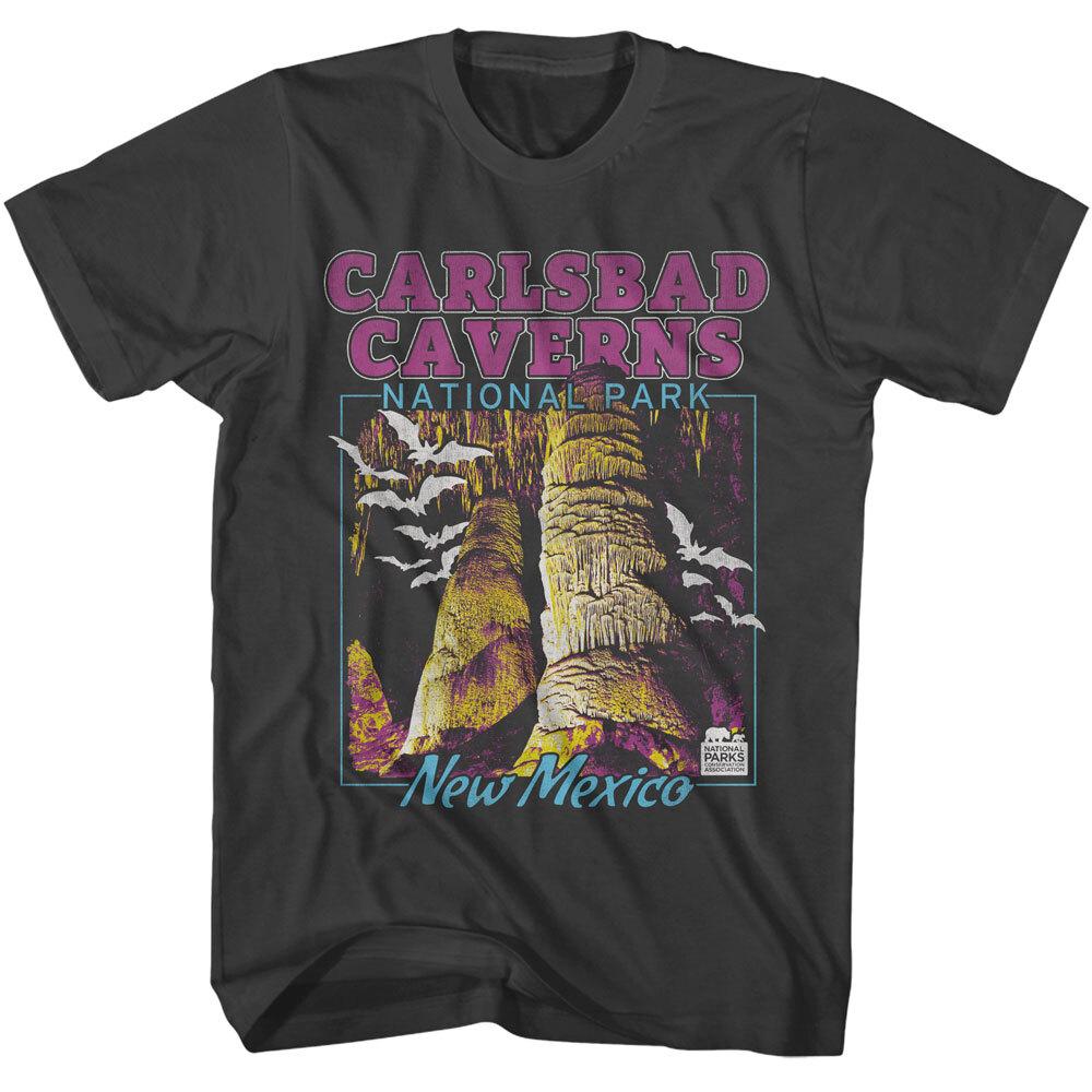 United States National Parks Carlsbad Caverns New Mexico Bats Men T Shirt XXXL