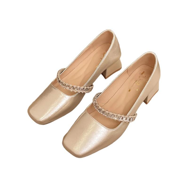 French Mary Jane Shoes Silver Light Mouth Temperament with Skirt Spring and Autumn Single Shoes Women's 2025 New Versatile Commuter Women's Shoes