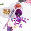 12 Colors Maple Leaf Shaped Nail Art Sequins Nail DIY Decoration Shining Pailletteqt0273