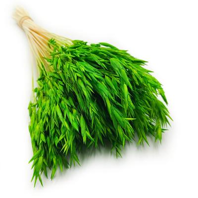 Avoine Séchée - Verte