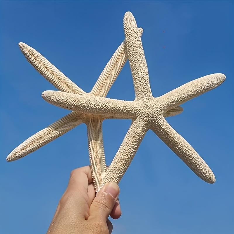 1 pz Set di stelle marine in resina fatte a mano in stile bohémien (4 pezzi)
