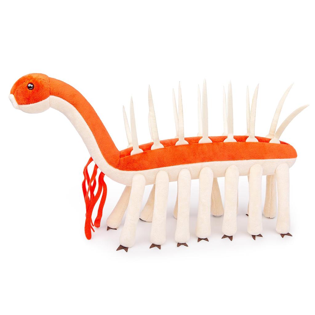 ZHONGXIN MADE Realistic Cambrian Ancient Creature Strange Plush Cambrian Sea Creature Strange Plush Animal Funny Plush Toy Gift for Toy, Model, Kids,