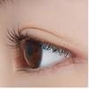 Etude Doctor Mascara Fixer 6g (New Color, 3 Colors)