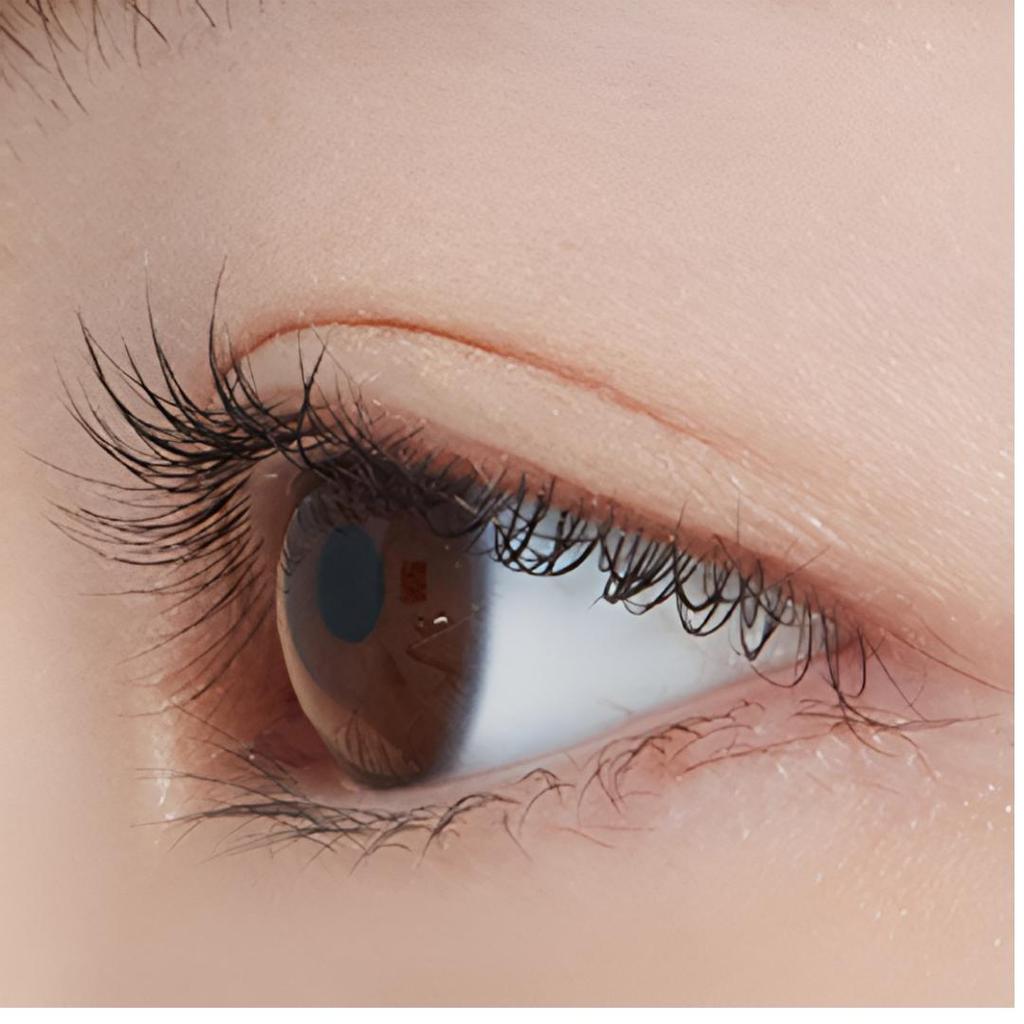Etude Doctor Mascara Fixer 6g (New Color, 3 Colors)