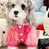 Pulover Gros Tricotat Câini Mici Haine Calde de Iarnă Schnauzer Bichon Teddy Maltez Stil Prințesă Culoare Degradată