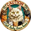 Metal Cat Wall Decor Tin Sign Gift For Friend 15x30cm Vintage Home Art