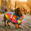 Pet Costume Thick Pet Dog Hoodie Warm Rainbow Dog Sweatshirt Soft Fleece Pet Coat Jacket Winter Autumn