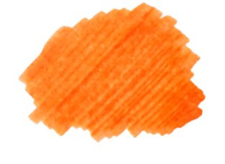 NAGASAWA Fountain Pen Ink Kobe INK Story 25 Tarumi Apricot Vol.