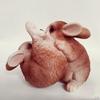 Animal Outdoor Statues Artificial Bunny, Decorative Landscape Figurine for Garden, Patio, Backyard