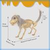 Efficient Plastic Halloween Dog Skeleton With Realistic Detail Perfect For Scary Festival
