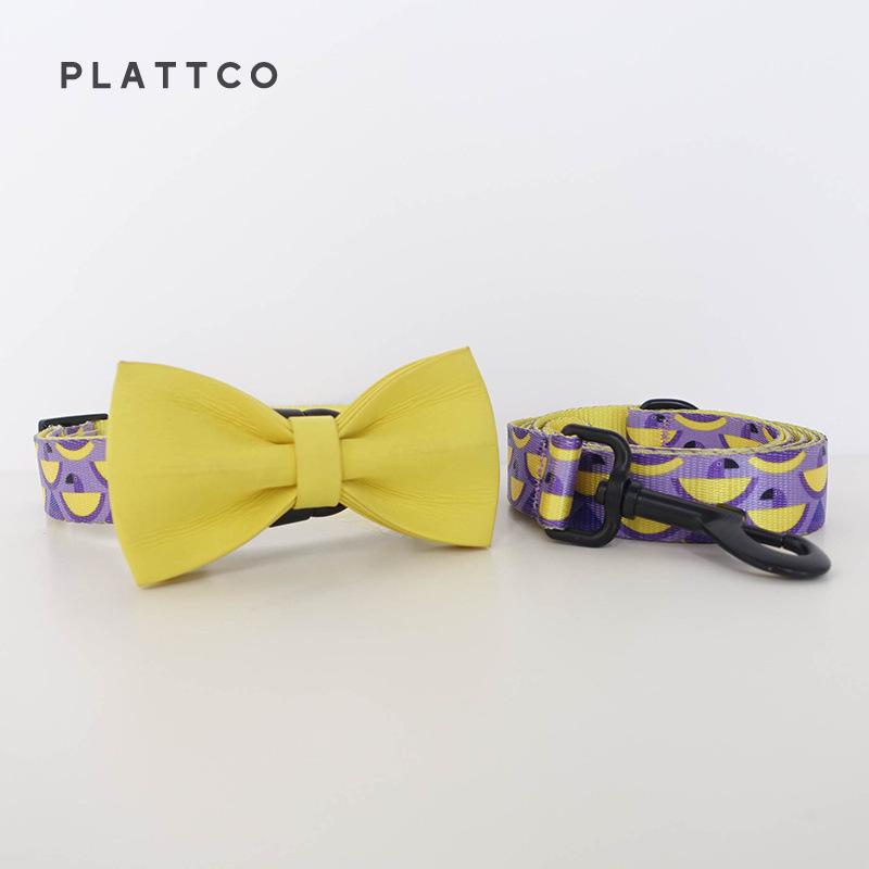PLATTCO Stylish Printed Dog Leash & Collar Set PDC312 Extra Small