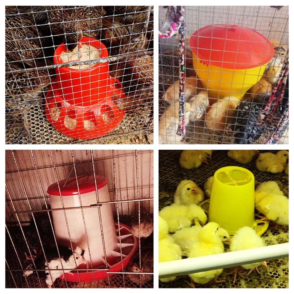 Red 1.5kg/3L Chicken Duck Feeder Bucket With Leg Poultry Food Fountain Chicken Chick Hen Lid Handle Feed Watering Supplies 1Pc