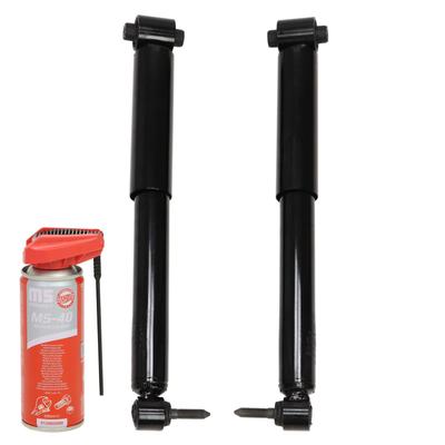 Shock Absorbers Rear Left Right 16K003832