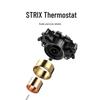 Xiaomi Mijia Intelligenter Thermostatischer Elektrischer Wasserkocher P1