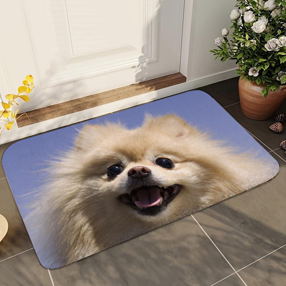 1pc Cute Pomeranian Dogs Bathroom Absorbent Mats Anti-Slip Mats Home Decor Supplies Carpets Home Kitchen Floor Mats