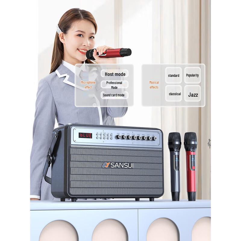 SANSUI G17 Portable KTV Bluetooth Speaker