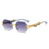 Leopard Head Frameless Polygonal Sunglasses for Men Women Unique Irregular Cut Edge UV Protection Stylish Shades