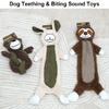 Dog Molar Toy Squeaky Interactive Prevent Obesity Grinding Resistant Bear