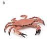 Simulation Animal Model Vivid Intelligence Development Solid Aquarium Miniature Crab Cognition Education Toy for Home