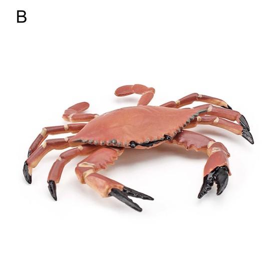 Simulation Animal Model Vivid Intelligence Development Solid Aquarium Miniature Crab Cognition Education Toy for Home