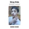 Stray Kids MAXIDENT StarRiver Official Photocard
