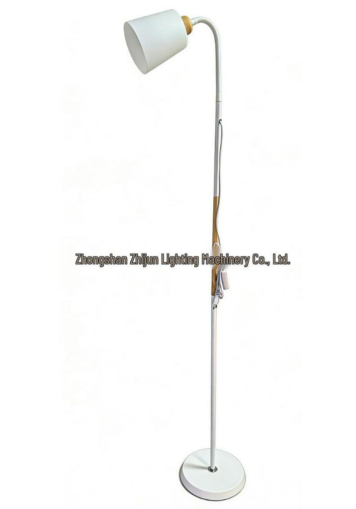 Nordic Style Floor Lamp for Living Room, Bedroom, Sofa, or Study