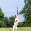 Giocattoli Retrattili Interattivi con Bastone per Cani Estensibile Flirt Pole Divertente Caccia alla Coda Teaser ed Esercitatore per Animali Domestici Cane Giocattolo Animale Domestico Giocattolo