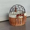 Lishi Wicker Bicycle Storage Basket with Lid