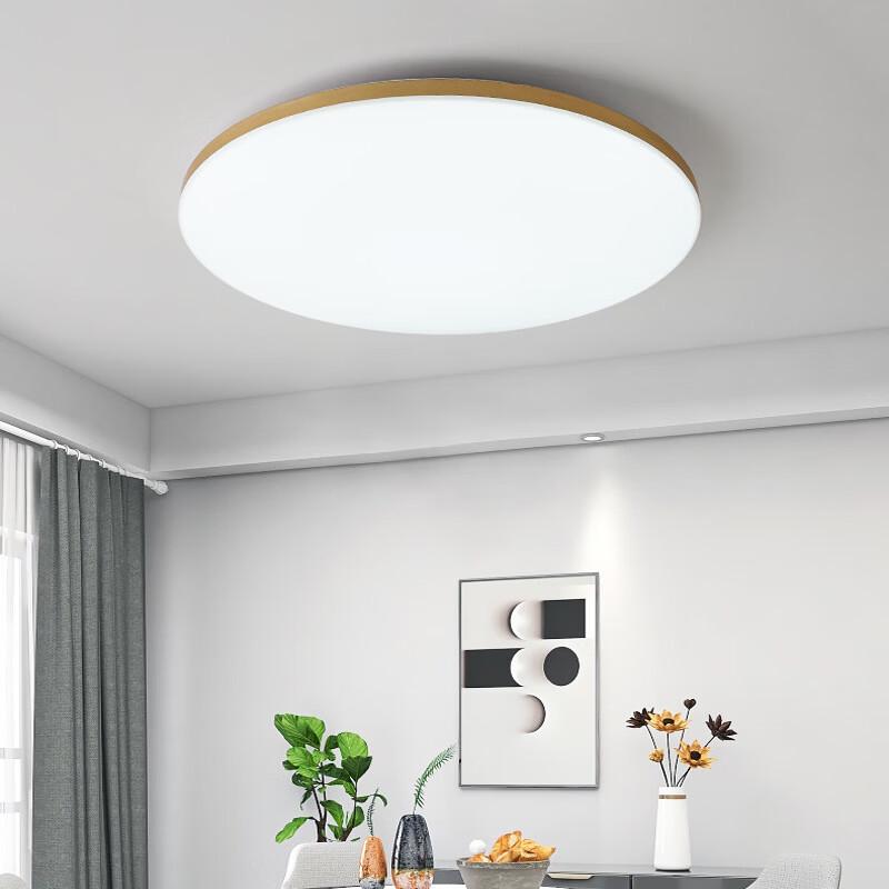 Frameless Round LED Ceiling Light