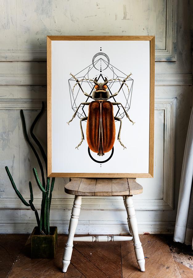 Poster Worms Insects Geometry