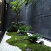 Artificial Turf Moss Simulation Grassland Fake Grass Lawn Carpet Artificial Musgo Turf Synthetic Grass Outdoor Garden Decoration