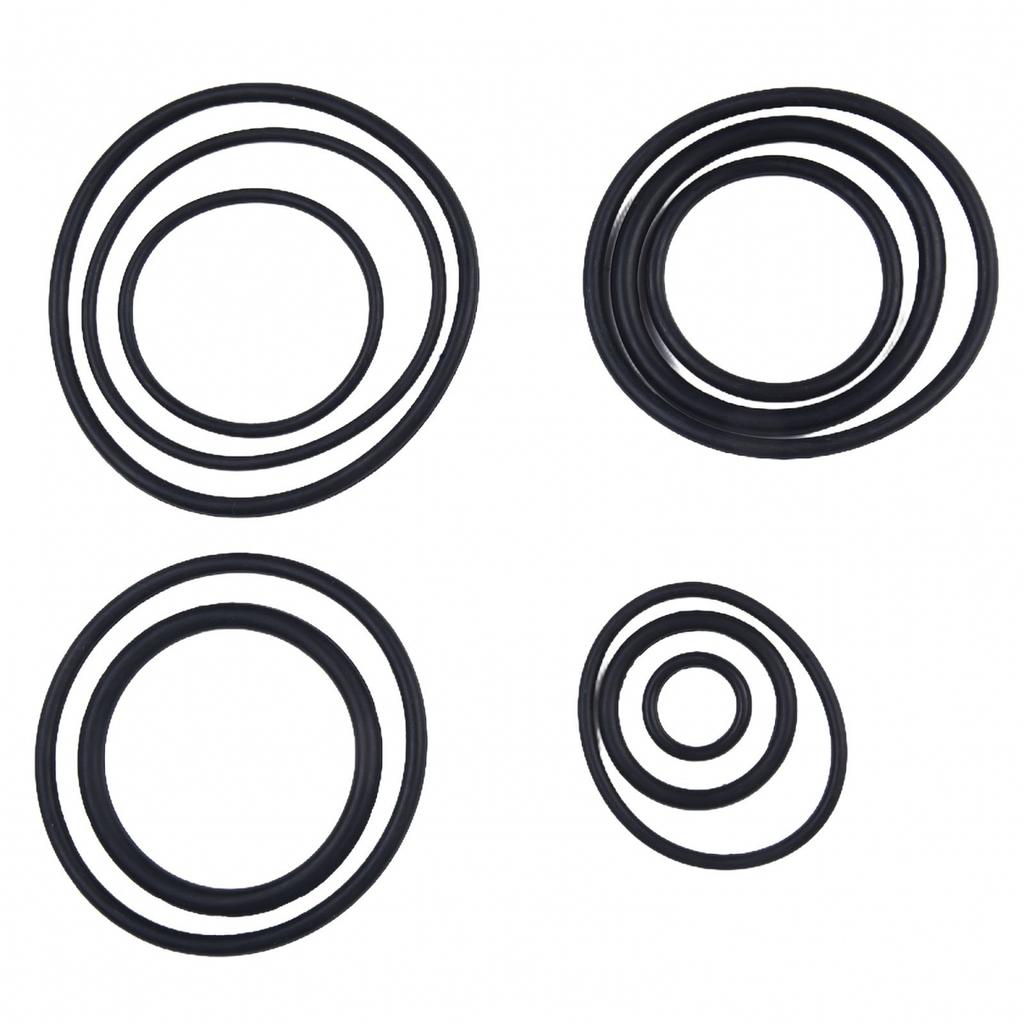 403700 O Ring Kit 405243 O Ring Kit And Cylinder Seal