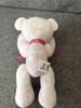 [USED] Tully's Teddy Bear 2015