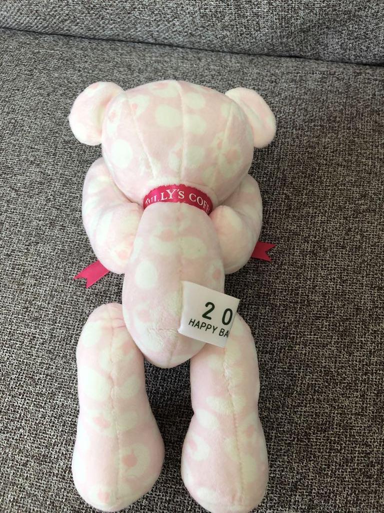 [USED] Tully's Teddy Bear 2015