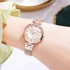 Wenyi Style Women'S Light Luxury Fritillary Surface Small Dial Waterproof Stainless Steel Mesh Belt Quartz Watch
