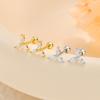 925 Sterling Silver Shiny Zircon Windmill Screw Earrings for Women's Fashion Creative Design Earrings