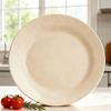 Assiettes Rondes Légères pour Dîner Réutilisables Incassables Assiettes à Steak Pizza Fruits Micro-ondes Lave-vaisselle Sûr pour Fête à la Maison Pique-nique