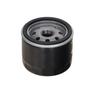 Ft13666 Fast Oil Filter