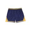 Li Ning CBA Series Sports Casual Competition Elastic Logo Color Block Printed Basketball Shorts Classic Edition 24-25 Season Guangdong Team AAPU505-1