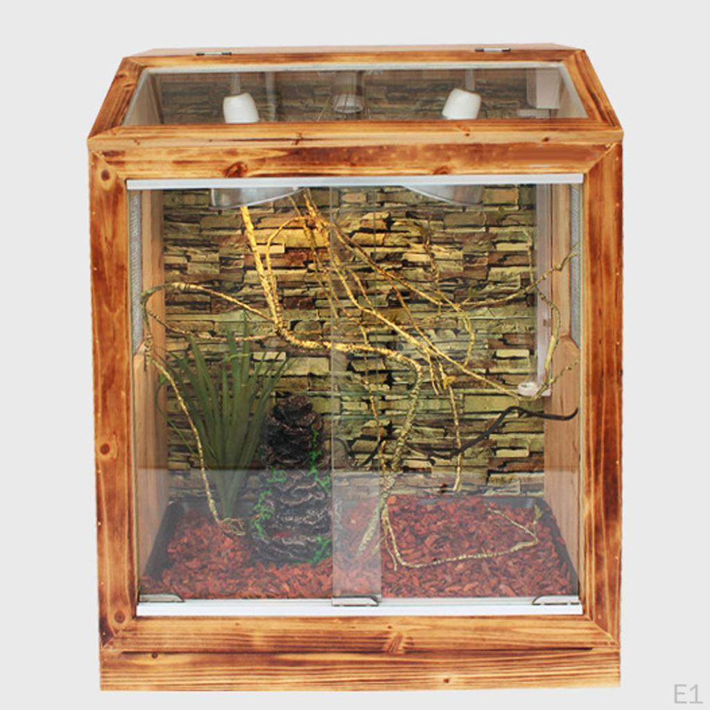 Vigne Tressable Grimpeuse Vignes Terrarium Habitat Décor