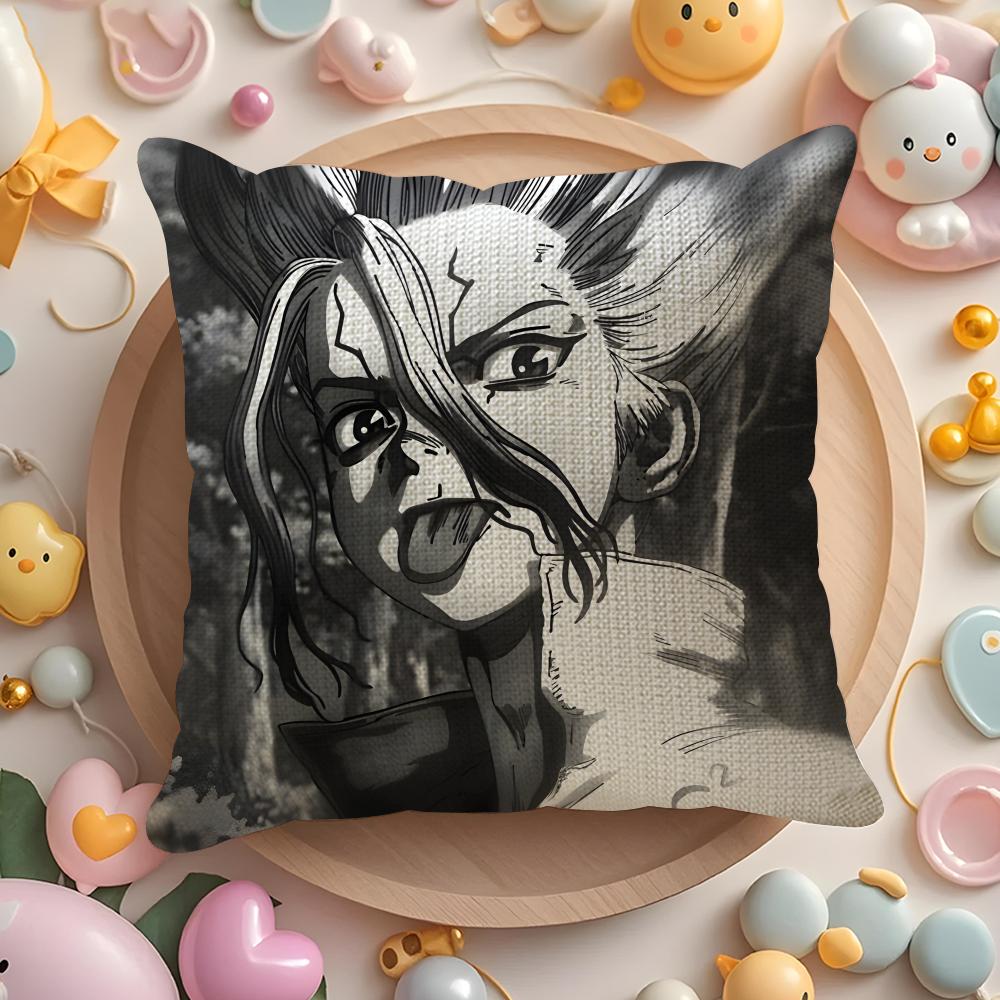 Dr S-Stone-E Pillow Case Pattern Printed Pillowcase for Living Room Sofa Cushion Cover & Bedroom Decor