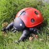 Large Soft Insect Model: Stag Beetle, Rhinoceros Beetle, Grasshopper, Mantis Toy for Kids