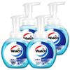 Walch Healthy Care Foaming Antibacterial Hand Wash