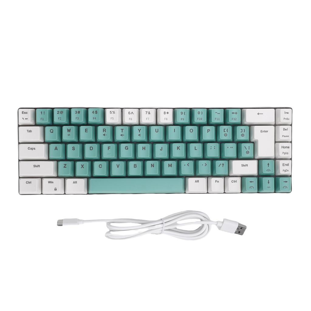 Wired Gaming Keyboard 60percent  Compact with RGB Backlight Comfortable Typing Mechanical Keypad for PC